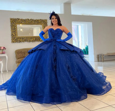 Royal Blue Quinceanera Dresses Puffy Sweet 15 16 Princess Party Ball Gowns