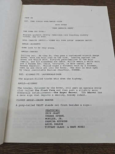 Striptease Screenplay Script June 1995. Andrew Bergman, Demi Moore Bert Reynolds - Picture 3 of 11
