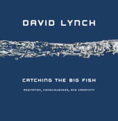 Catching the Big Fish: Meditation, Consciousness, and Creativity by David Lynch