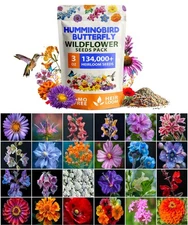 Bulk Non-GMO Wildflower Seeds - 134,000+ Native Seeds for Butterfly Gardens