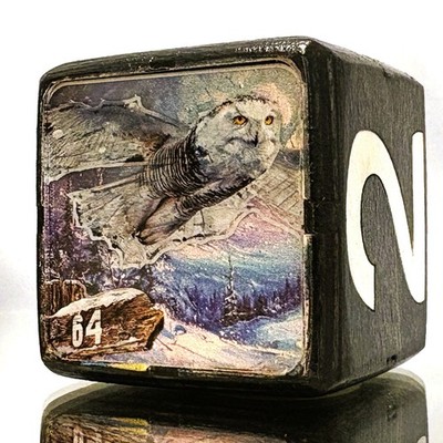 Oracle Owl - Foresight in Frost - Backgammon Doubling Cube 36mm