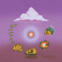 Evolfo - Site Out Of Mind - Vinyl Record Lp - G3Z