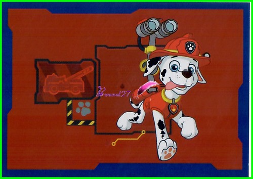 STICKER PANINI " PAT PATROUILLE / PAW PATROL " IMAGE AUX CHOIX - Bild 97 von 101