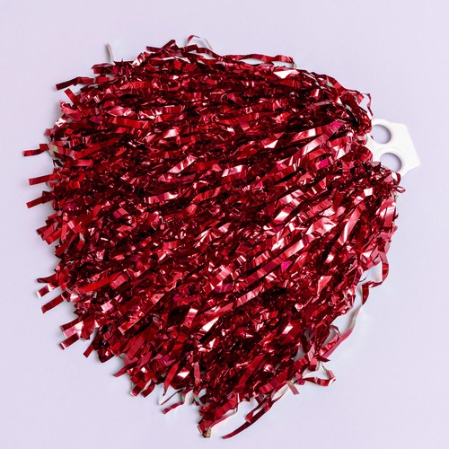 Kids Girls Cheer Leader Costume Cheerleading Uniform Crop Top Skirt Pom Poms Set - 第 9/51 張圖片