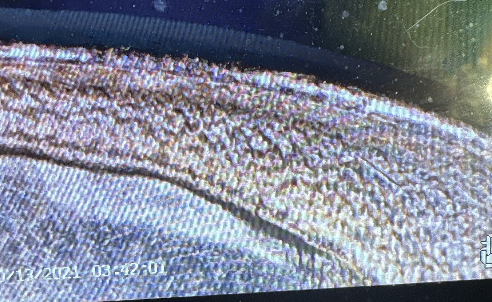 Picture 10 of 22