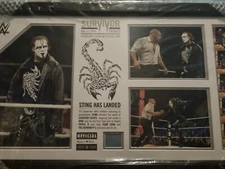 WWE Sting Has Landed Signed Sealed Survivor Series Autographed Mat Frame Plaque