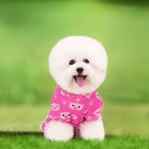 Dog Pajamas Soft Warm VELVET Jumpsuit Cute Animal and Fruit Pet Clothes - Picture 34 of 52