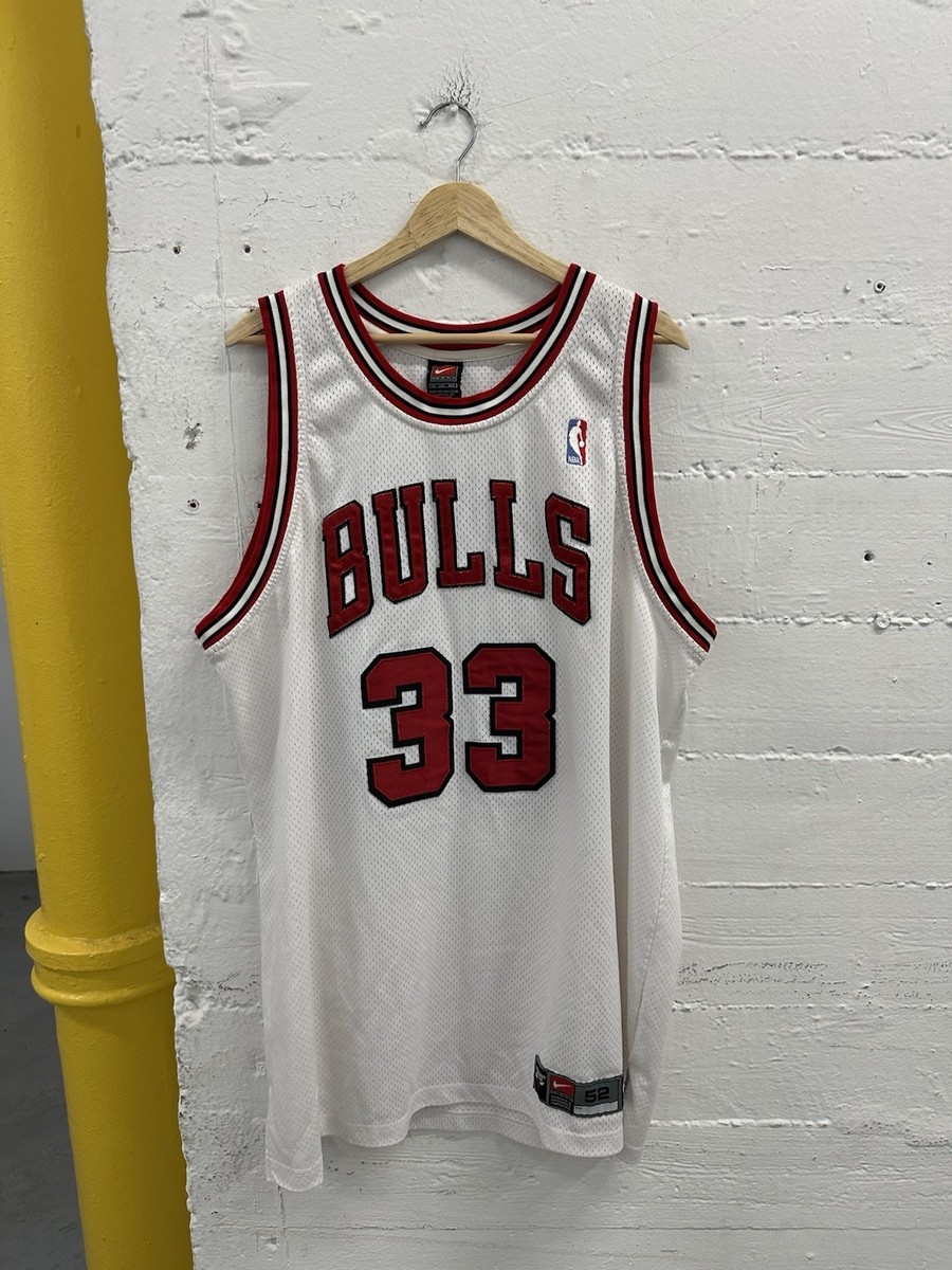 Vintage Scottie Pippen Jersey Chicago Bulls Nike 2003 2004 Team