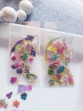 Dried Flowers Nail Art Mixed 2 Bags Pack