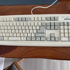 Samsung Old Model Keyboard SKG-210P, Ivory Color, Heavily Used Official