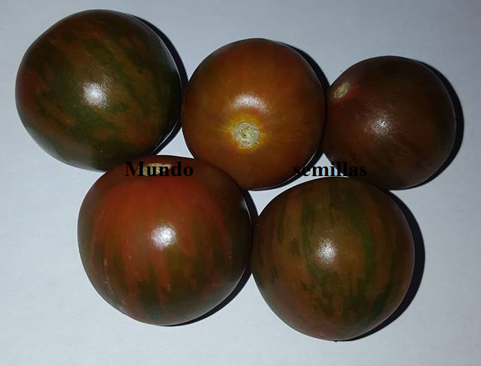 Tomate cereza negro zebra 50 Semillas frescas