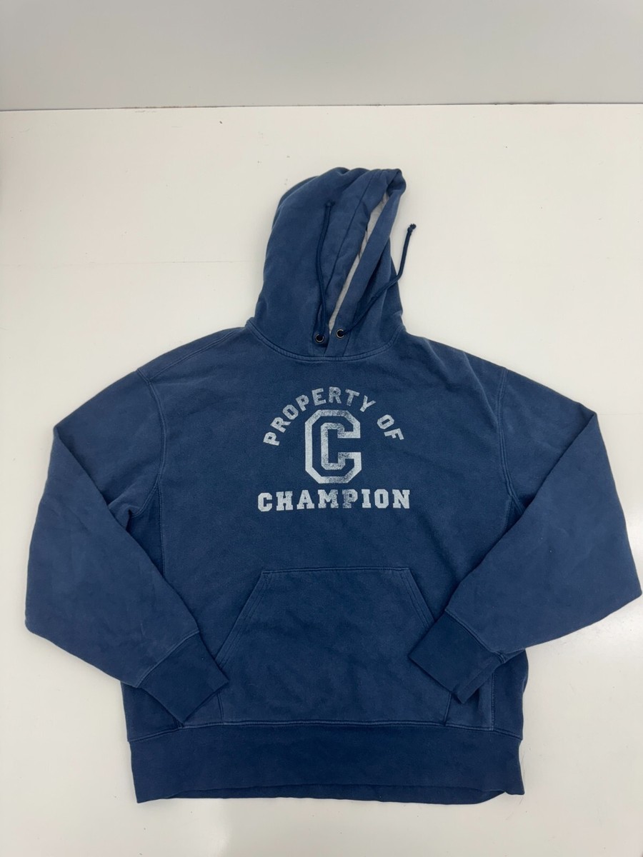 Champion Navy Blue Graphic Pullover Hoodie Mens Size Large | eBay