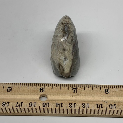 53.7g, 2.1"x1.7"x1", Goniatite Ammonite Polished Mineral from Morocco, F2009 - Picture 12 of 12