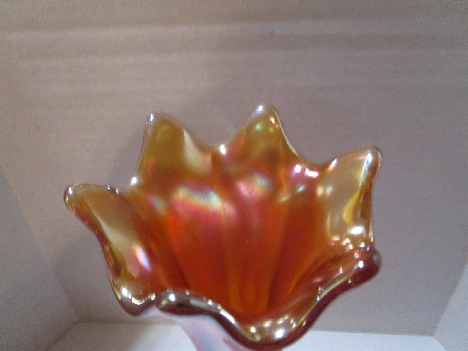 Picture 4 of 5