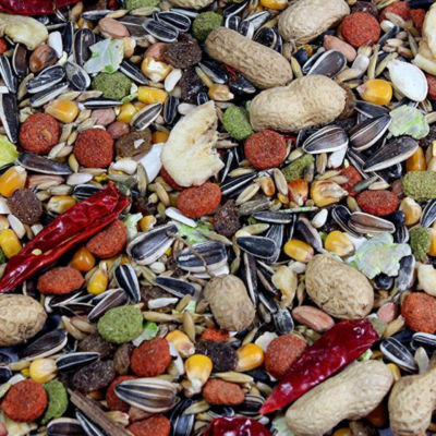 fruity parrot food