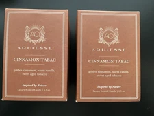 Set of 2 Aquiesse Cinnamon Tabac (Fireside Wish) Luxury Scented Candles 6.5 oz