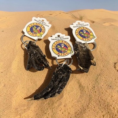Gator Keychain Alligator Foot Paw Souvenir Taxidermy Reptile Claw Key Chain Ring