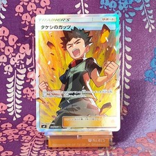 Pokemon Card Brock's Grit 108/095 SM9 SR Full Art Holo Rare 2018 Japanese [A]