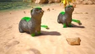 Ark Ascended - PVE - PC/Xbox/PSN -  [Monster Otter Breeding Pair Breeding Pair]