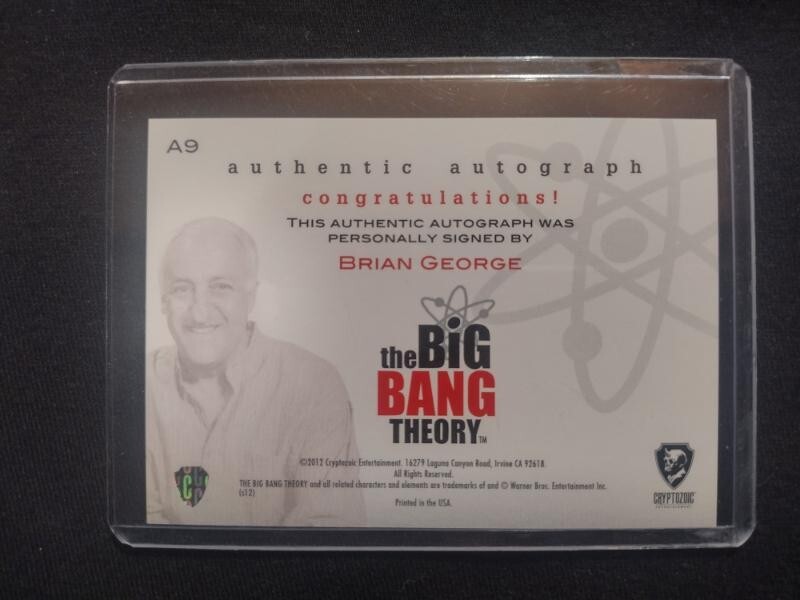 THE BIG BANG THEORY BRIAN GEORGE (DR. V. M. KOOTHRAPPALI) AUTO