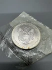 2002 American Eagle Silver Dollar Coin - Uncirculated