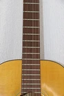 Picture 8 of 24