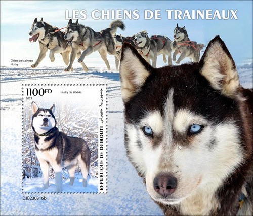 Sled Dogs Siberian Husky MNH Stamps 2023 Djibouti M/S + S/S - Picture 3 of 3