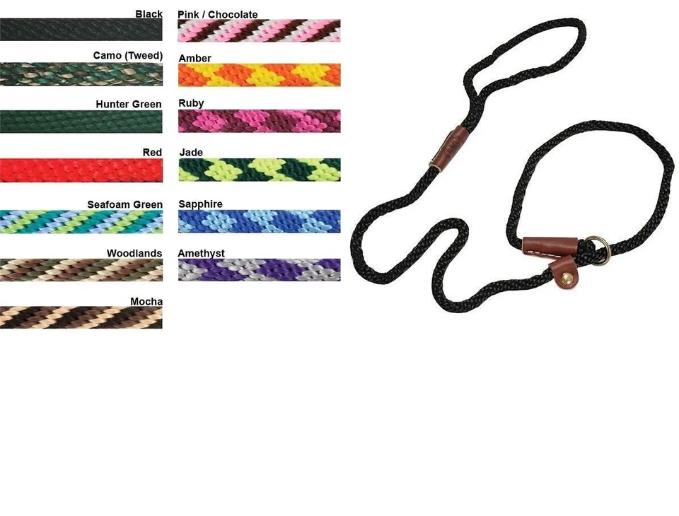 Correa y collar para perro estilo británico MENDOTA en un diseño - 3/8 pulgadas de ancho Foto 2 de 2