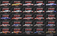1976 to 2000 Pro Stock Champions Poster-Banner Print-080