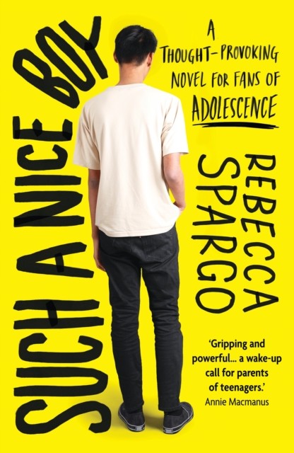 Such a Nice Boy: A thought-provoking, unputdownable read about motherhood and m - Image 2