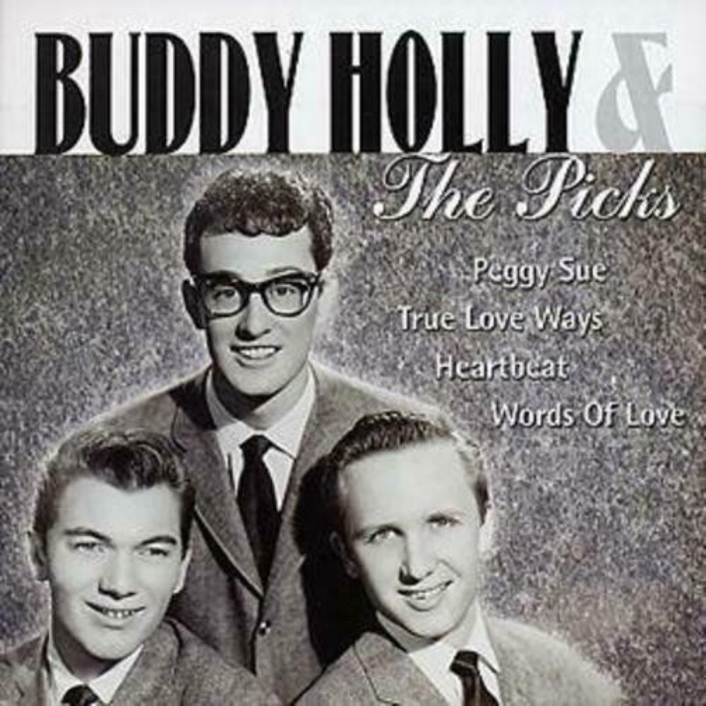 Buddy Holly & The Picks - Buddy Holly And The Picks CD (2001) FREE SHIPPING