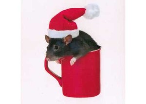 Ansichtskarte Weihnachts Maus In Einer Roten Tasse X Mas Mouse In A Mug Ebay