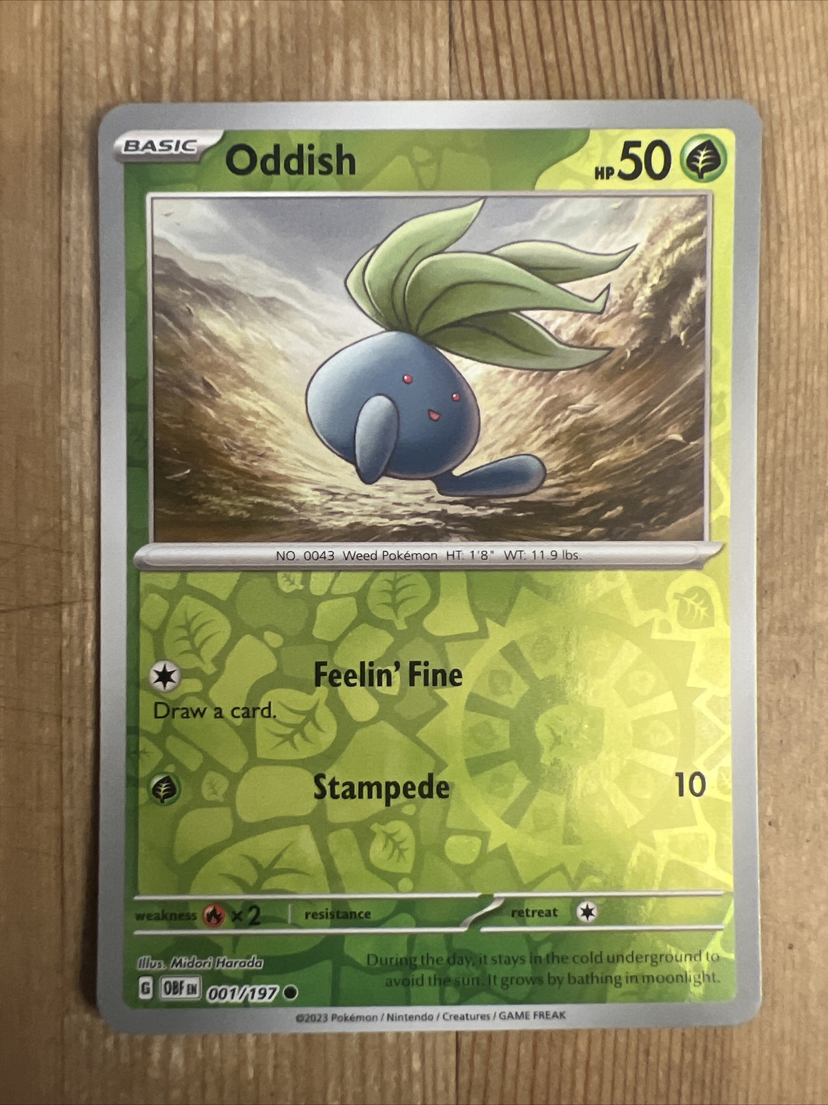 Oddish