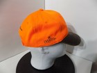 Foto 2 di 4