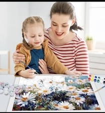 40cm x 50cm Paint By Numbers Kit with Stretched Canvas on Ready Frame