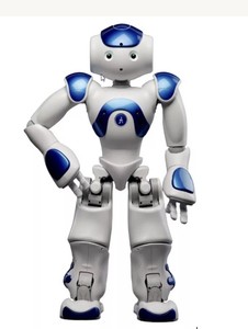 nao robot ebay