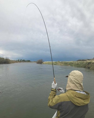 Fast Action Skyhigh Fly Fishing Rod IM12 Toray Carbon 10FT 7WT 4pcs Tip Flex 9.5 - Picture 7 of 8