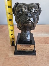 American Bully Dog Awards Trophy On Marvel Base See Photos For More Details American Bully Dog Awards Trophy On Marvel Base See Photos For More Details