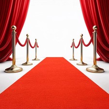 3.3 x 10 ft Red Carpet Runner, Extra Thick Red Runway Rug Rubber Backed