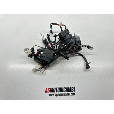 ELEKTRISCHE VERDRAHTUNG FB MONDIAL FLAT TRAK 125 2020-2024