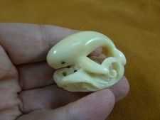 (tb-whal-29) baby Beluga Whale Tagua NUT palm figurine Bali love whales