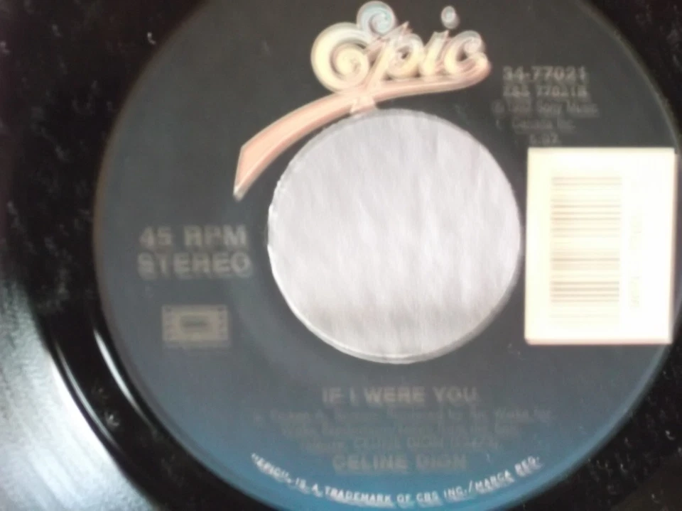 Celine Dion,Epic,"When I Fall In Love",US,7" 45,1993 pop rock hit classic, Mint - Image 2 of 2