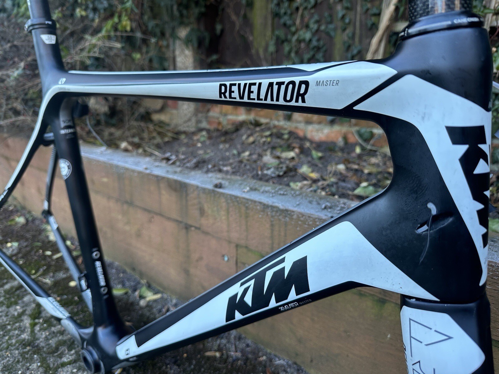 ktm revelator frameset