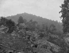 Little Round Top Union Breastworks Battle Gettysburg New 8x10 US Civil War Photo