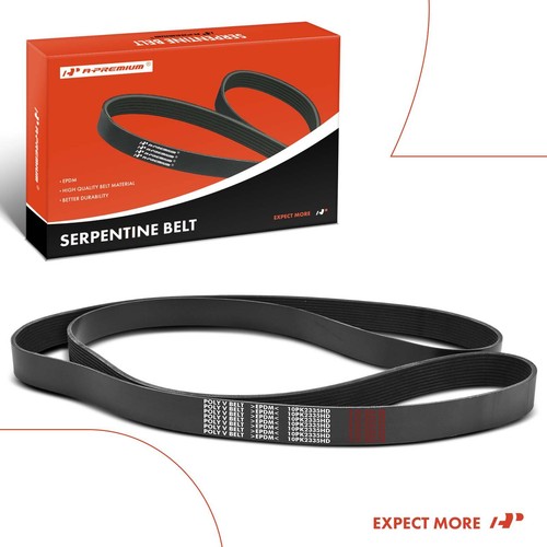 Cinturón serpentino de alta resistencia A-Premium 99,8 pulgadas para International 9200i SBA 08-11 - Imagen 9 de 9