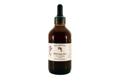 Wild Purple Aster Tincture Herb Extract Double Extraction