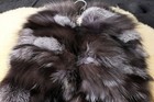 Bild 9 von 15