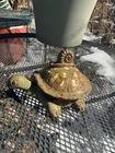 Royal Haeger 1950 turtle cigarette box snail knob green crystal glaze R-684 mcm