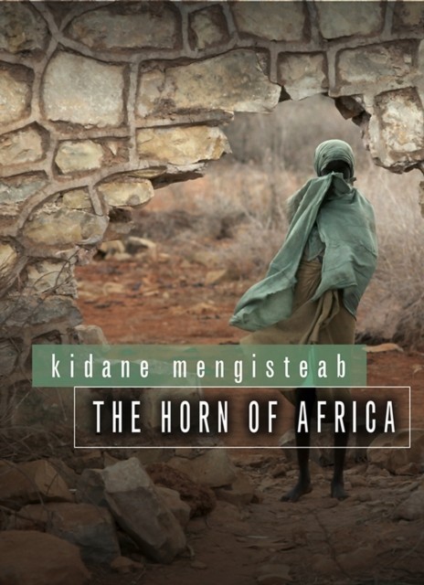 The Horn of Africa by K Mengisteab PAPERBACK 9780745651224