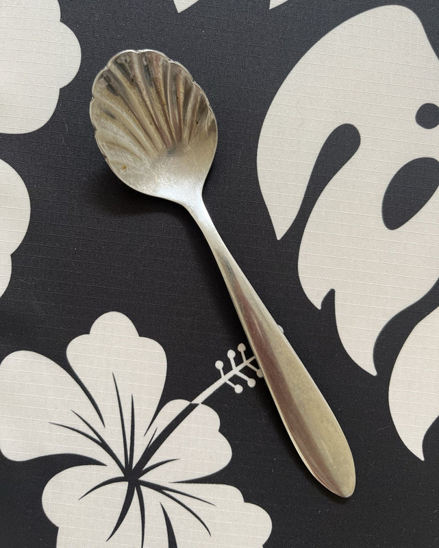 Oneida Stainless Steel 18/0 Sugar Shell Spoon Seashell Shaped Vintage